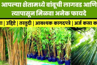 Atal Bamboo Samriddhi Yojana arj 2024
