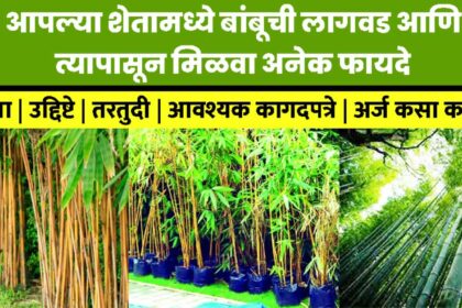 Atal Bamboo Samriddhi Yojana arj 2024